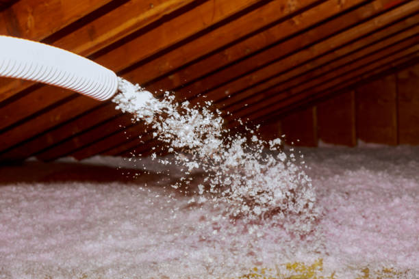 Best Eco-Friendly Insulation in Oliver, PA